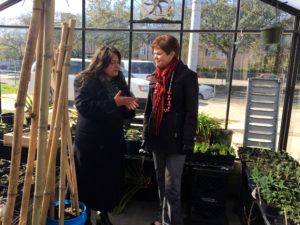 Cufone give Harden a tour of the urban farm's flourishing greenhouse. 