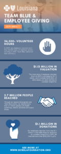 BCBS Foundation Team blue and employee giving infographic.